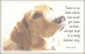 Faithful Dog