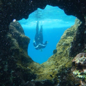 be a marine biologist and dive in caves