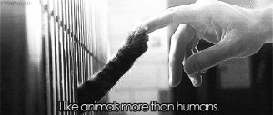 like animals more than humans # animal # pet # people # human ...