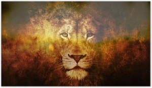 Lion Power Lion symbolism: eternal power