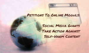 Instagramapp Credited Dailydot