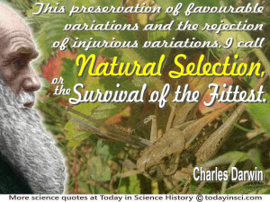 Charles Darwin quote This…I call Natural Selection, or Survival of ...
