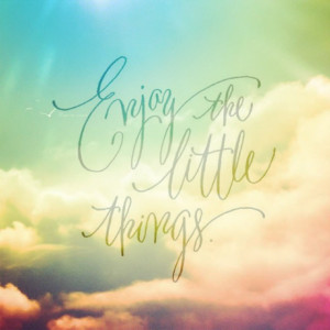 ... enjoy appreciate quote lifequote Enjoy the little things What I need