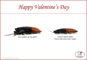valentines3-copy.jpg