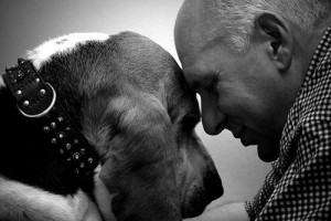 Love Between Dogs And Humans