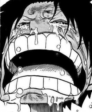 Homeward Bound Chance Sassy Picture