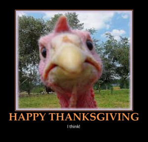 funny happy thanksgiving-turkey poster
