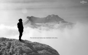 Share this wallpaper