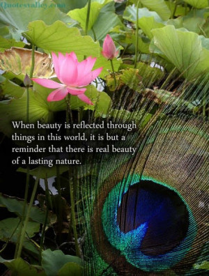 When Beauty Is Reflected Through Things In This World, It Is But A ...