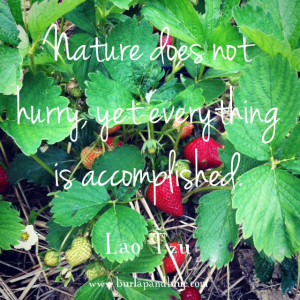 Nature does not hurry but everything is accomplished | quote by Lao ...