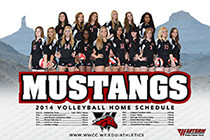 Download the 2014-2015 poster