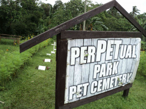 Pet Cemetery (Pet Sematary)