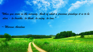 ... Life And Success: Famous Sayings And Quotes From Famous People About