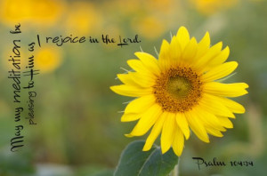 May my meditation be pleasing to Him as I rejoice in the Lord. -Psalm ...