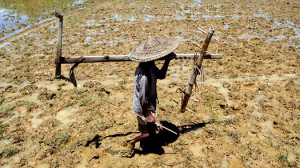 Drought Time News Pictures Quotes Archive