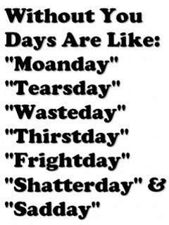 funny best sayings life humorous hilarious quote (69)