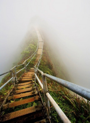 beautiful, bridge, fog, into the mystic, nature