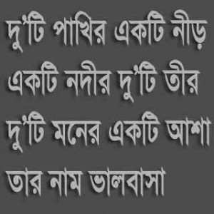 bangla quotes funny quotes funny facebook funny images facebook ...