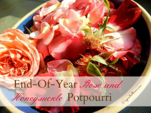 nature, Shropshire Lad, David Austin, Gold Flame honeysuckle, quotes ...