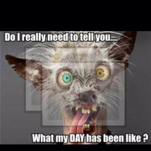 Funny Friday Quotes For Work