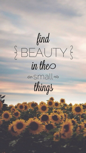 Find Beauty In The Small Things Wallpaper