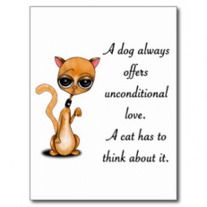 Funny cats Unconditional love from cats Postcard