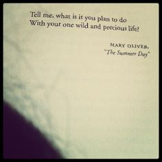 Miscellaneous inspiration, etc...