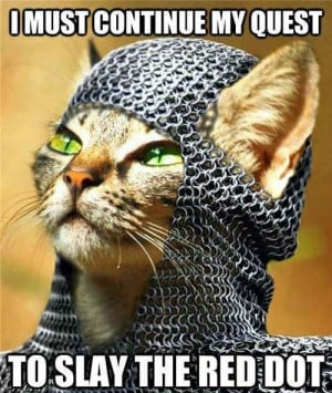 cat animal lolcat knight funny pic picture lol meme