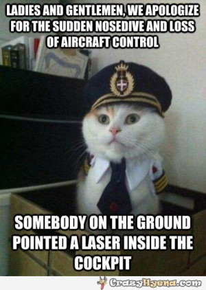 funniest-cat-airplane-pilot-costume-pic.jpg