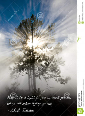 ... and silhouette of pine tree in Yellowstone National Park with Quote