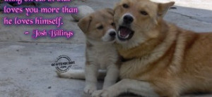 -quotes-about-life-and-the-picture-of-the-dogs-funny-animal-quotes ...