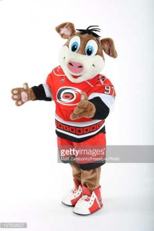 News Photo Stormy mascot for the Carolina Hurricanes poses