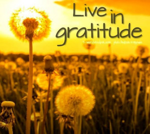 Live in gratitude