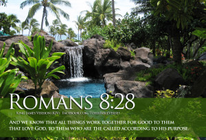 Bible Verses On Faith Romans 8:28 Spring HD Wallpaper