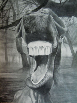 Comedians and why they are unappreciated and underpayed