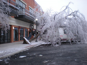 ice-storm-2009-on-the-square-funny-tree-truck450.jpg
