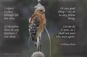 Sayings, Quotes: William Penn