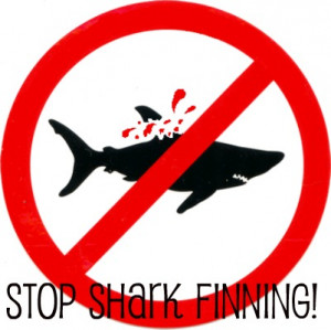 Help put a stop to SHARK FIN soup...