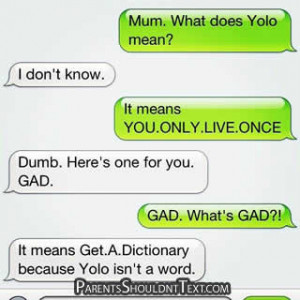 Please comment below with other potential Yolo meanings or something ...