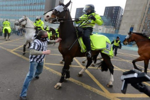 Newcastle fan who punched police horse sentenced to 12 months in ...