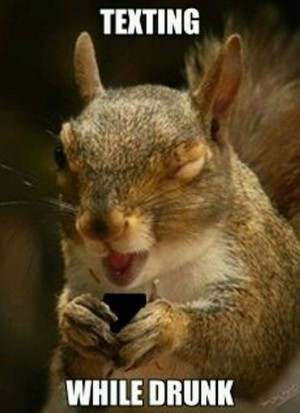 Texting While Drunk Squirrel