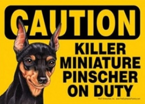 killer min pin on duty