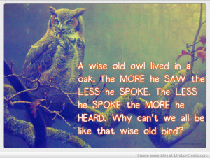 Related Pictures wise owl sayings pictures