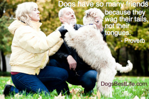 Dogs wag their tails, not their tongues.