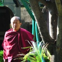 Not a Big Deal ~ Dzongsar Khyentse Rinpoche