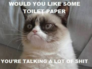 Hilarious grumpy cat, grumpy cat humor, grumpy quotes, sarcastic funny ...