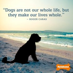 Dogs are not our whole life, but they make our lives whole.” -Roger ...