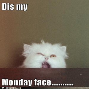 cat #meme #mondays #i hate mondays #funny #cute