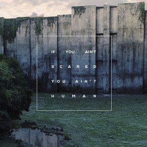 ... , perfection, quotes, scared, true, the maze runner, the maze walls