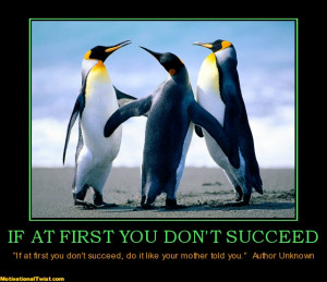IF AT FIRST YOU DON'T SUCCEED - 